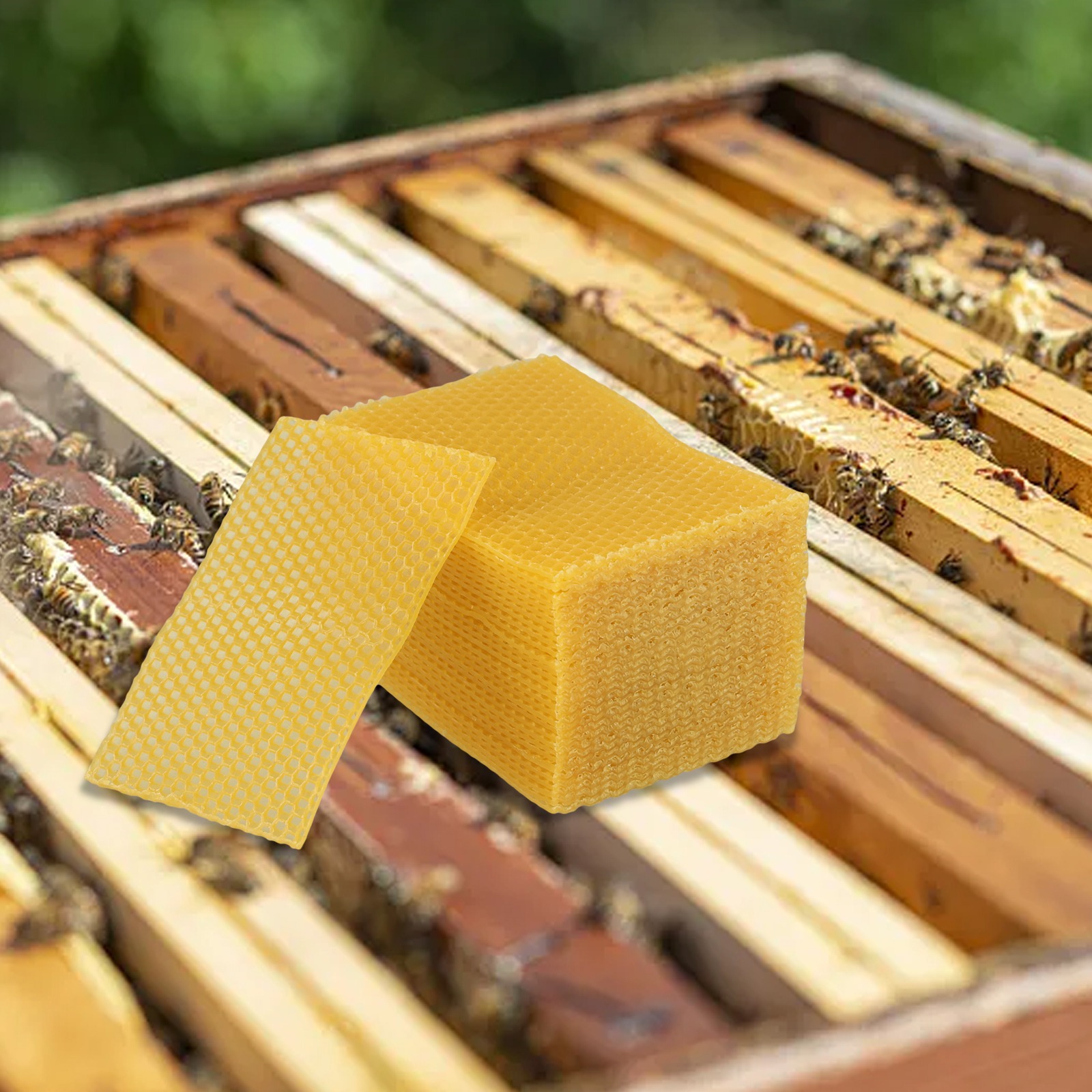 5.24 X 3.54 Arı Kovanı Temel B - Candle Making Kit Beeswax incelemesi ve fiyatı